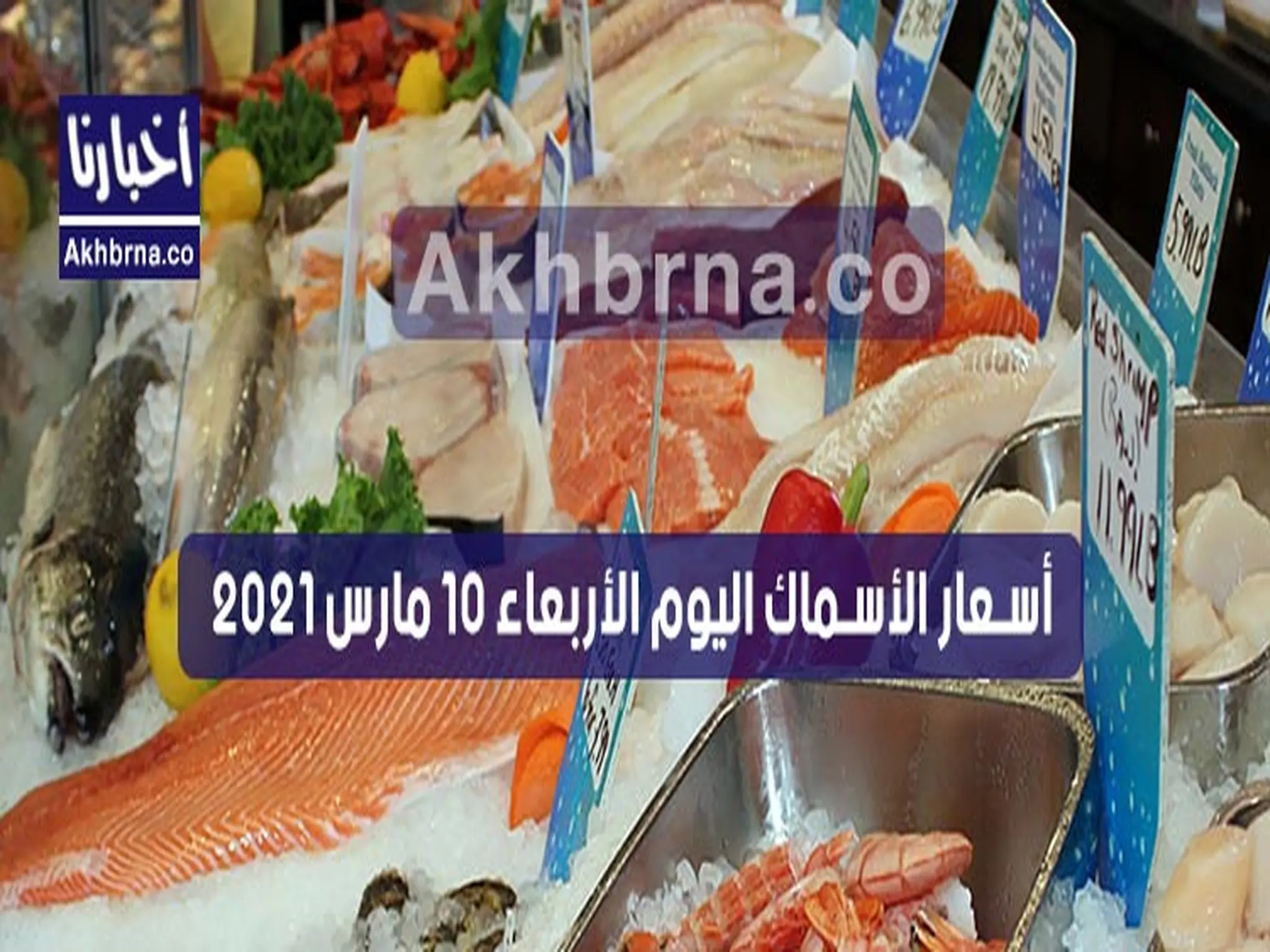 أسعار الأسماك في مصر اليوم الأربعاء 10 مارس 2021