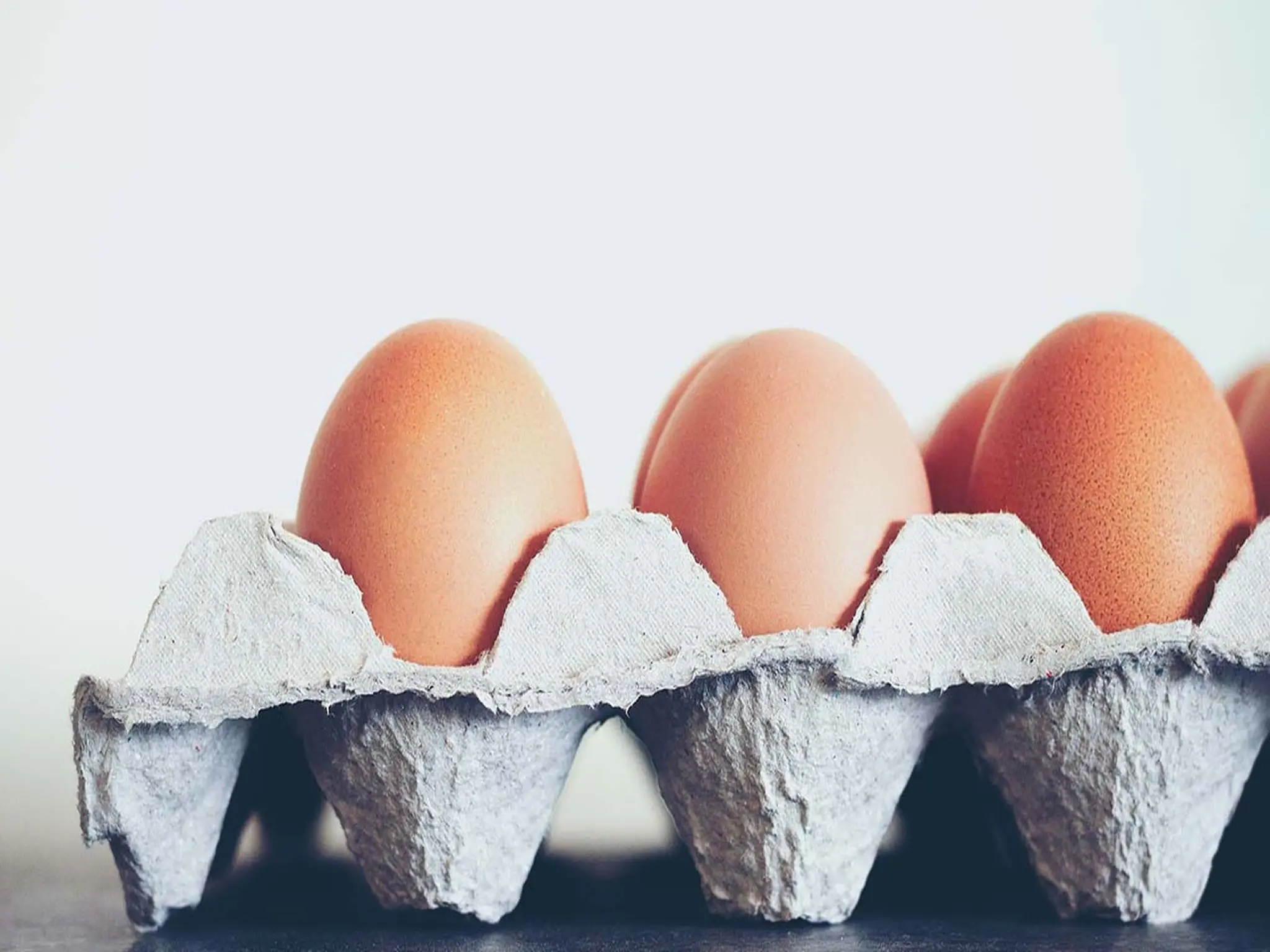 أسعار البيض تصل إلي 55 جنية مصري للكرتونة اليوم