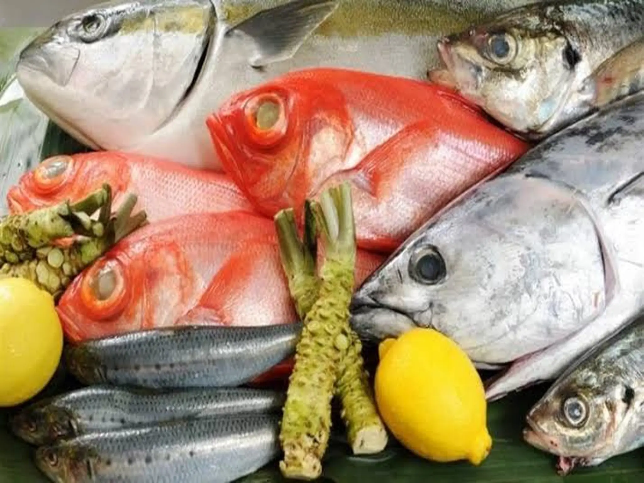 أسعار الأسماك اليوم 31 أغسطس 2022 بالاسواق في مصر