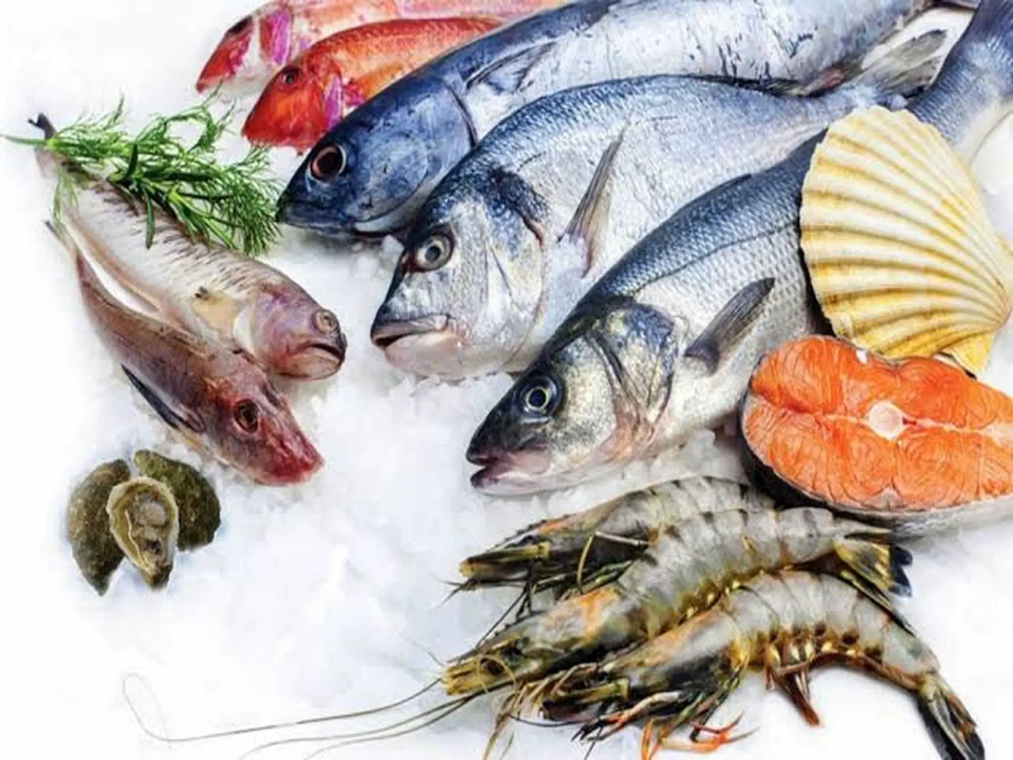 أسعار الأسماك اليوم الجمعة 2 سبتمبر 2022 بالاسواق المصريه