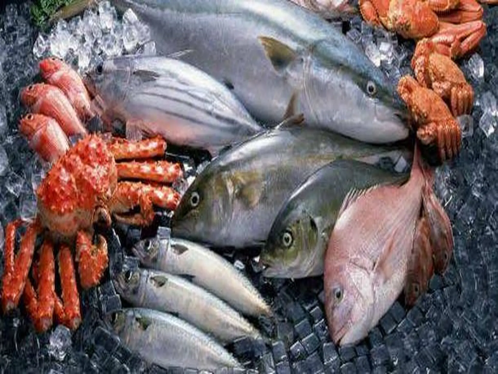 أسعار الأسماك اليوم الخميس 1 سبتمبر 2022 بالاسواق المصريه