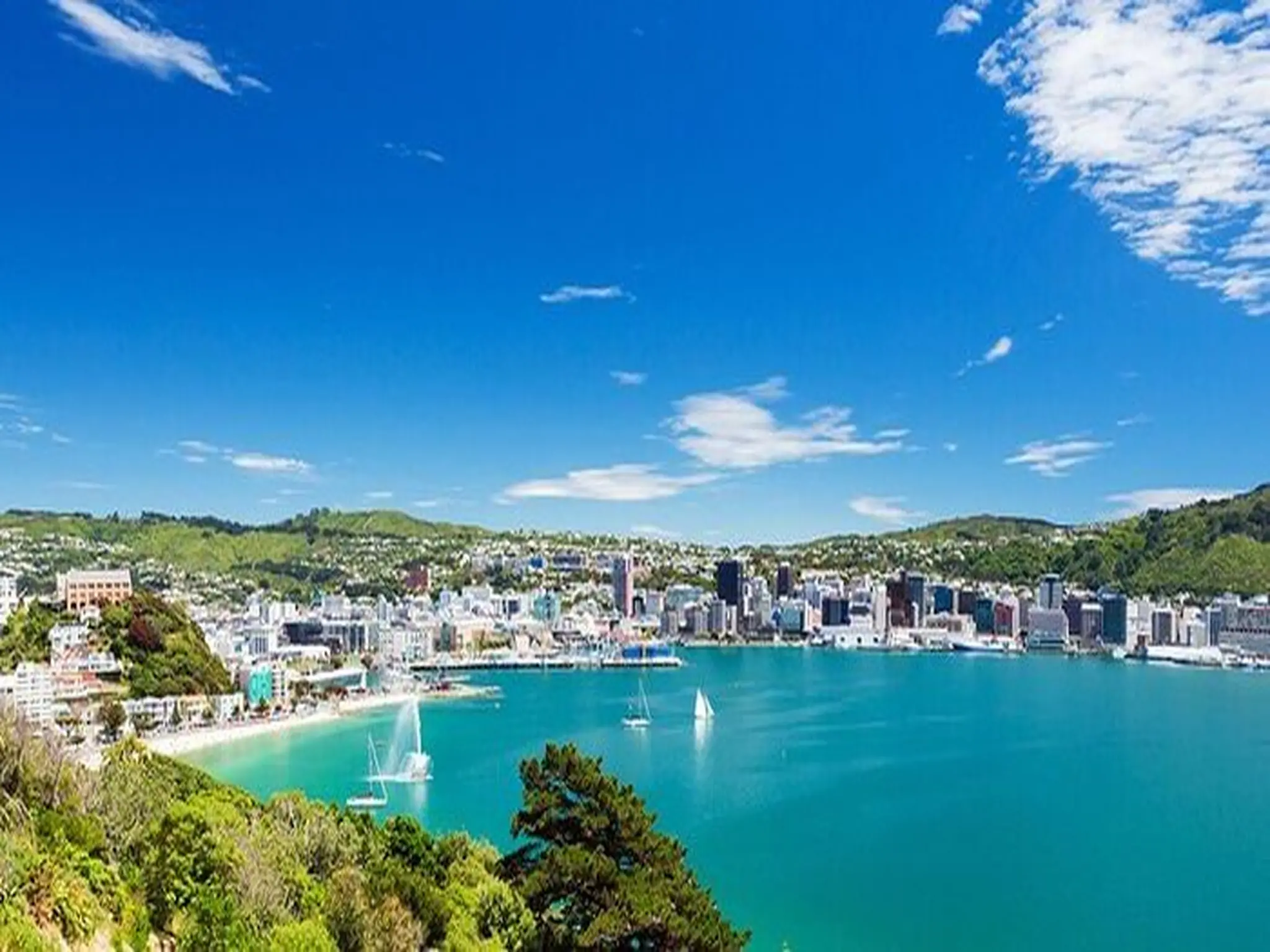أجمل 5 أماكن سياحية في ويلينغتون عاصمة نيوزيلندا
