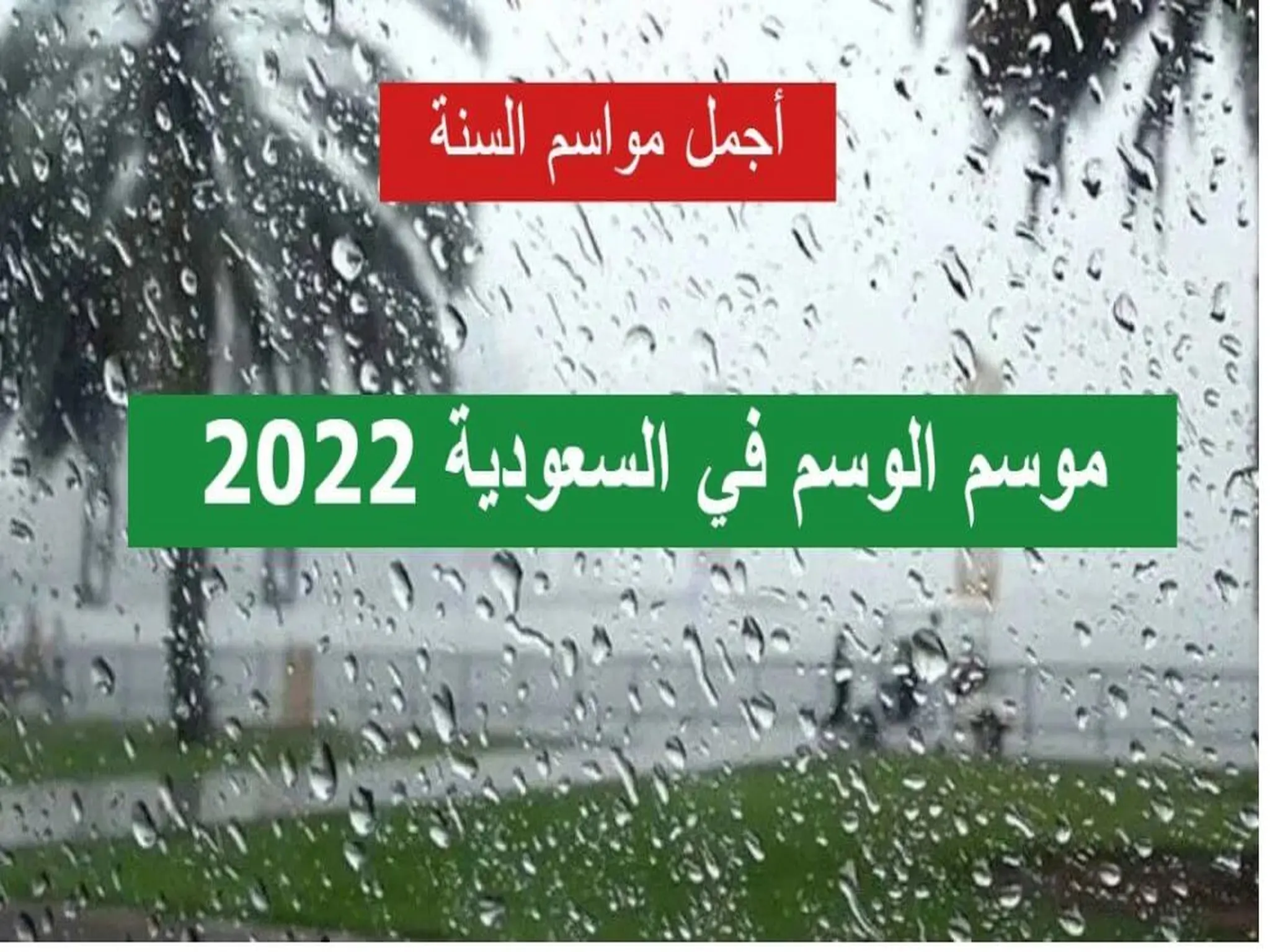 موعد الوسم في السعودية 2022 وماهى مراحله بالمملكة