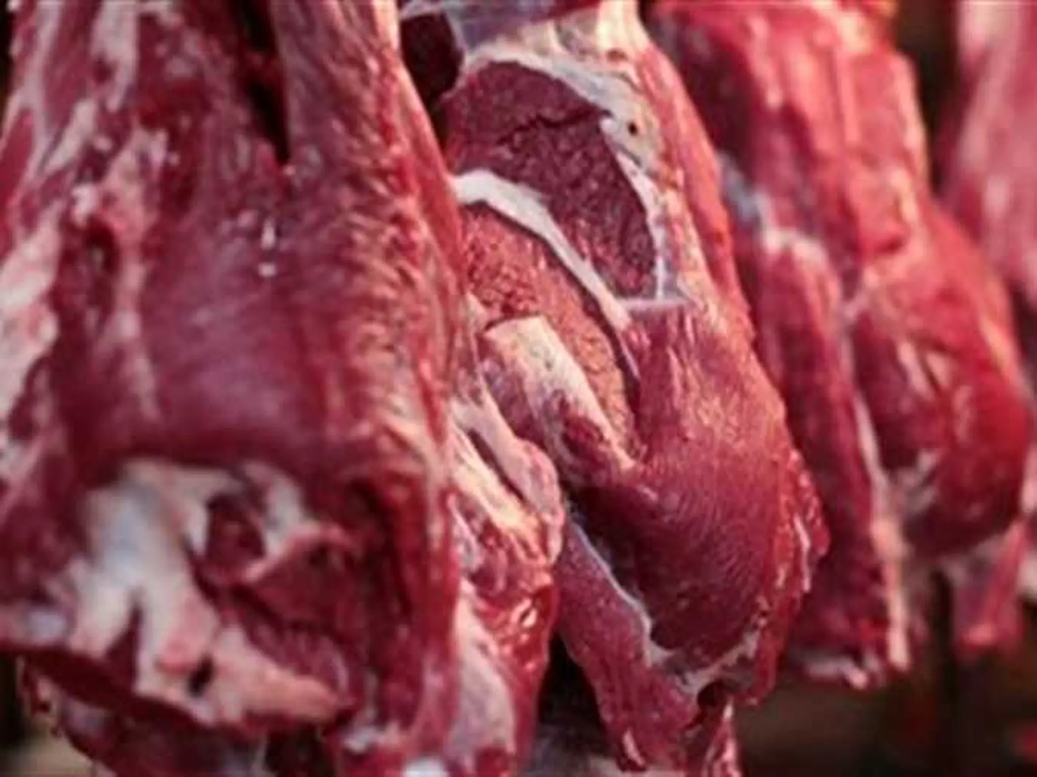 أسعار اللحوم التشادية و أماكن بيعها في جميع محافظات 