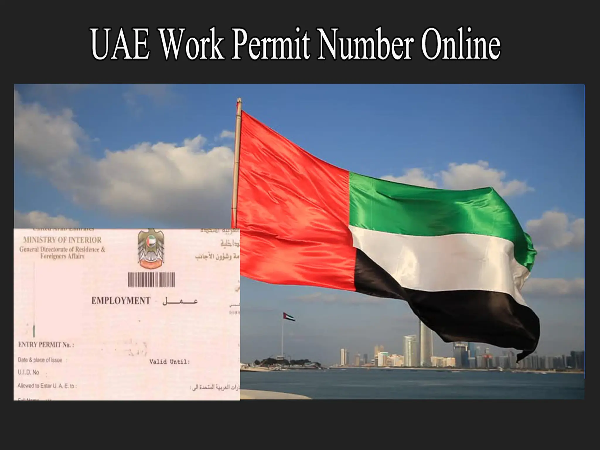 How Can You Get Your UAE Work Permit Number Online by MOHRE site?