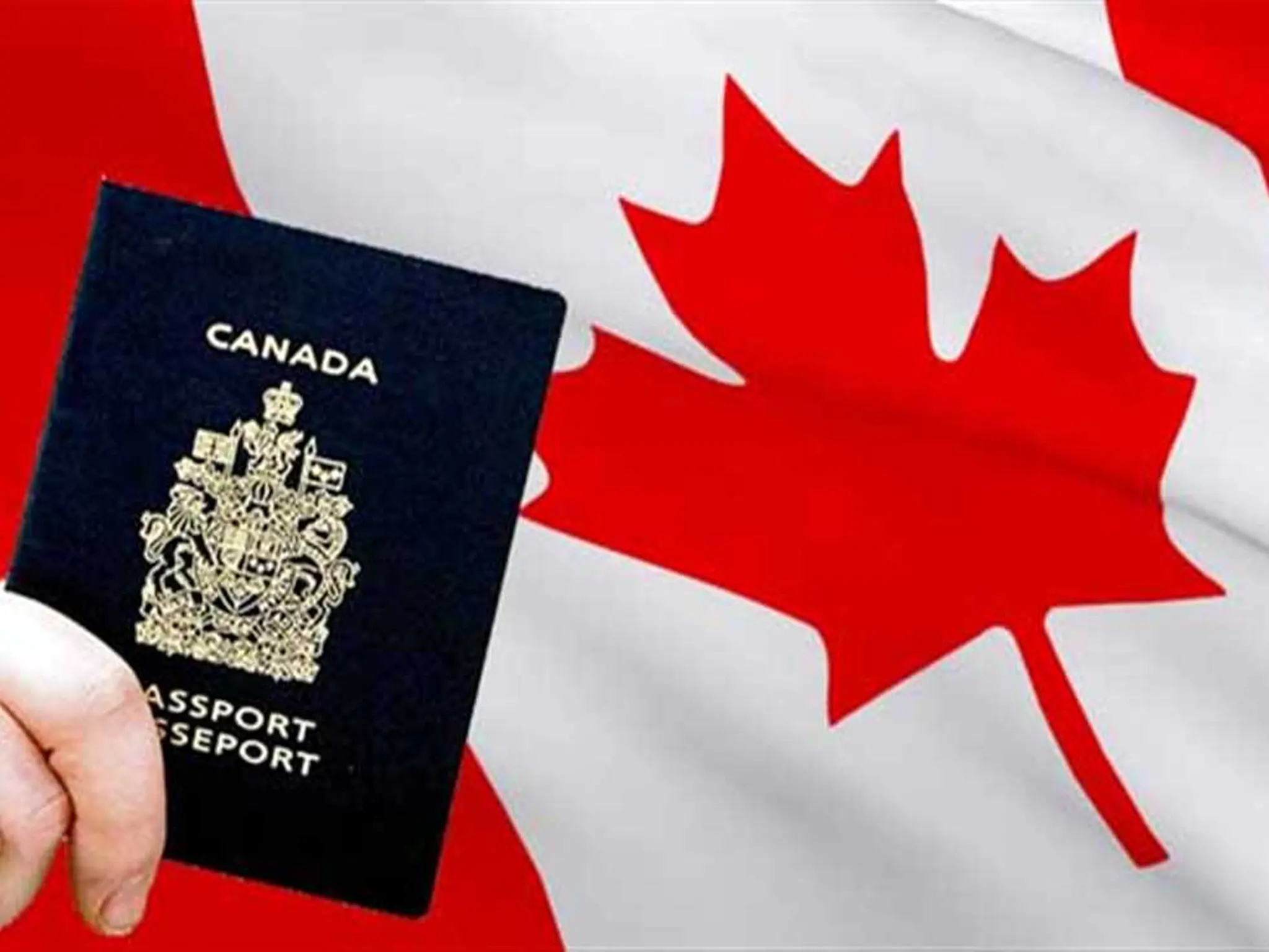 Canada announces new procedures for immigration to it