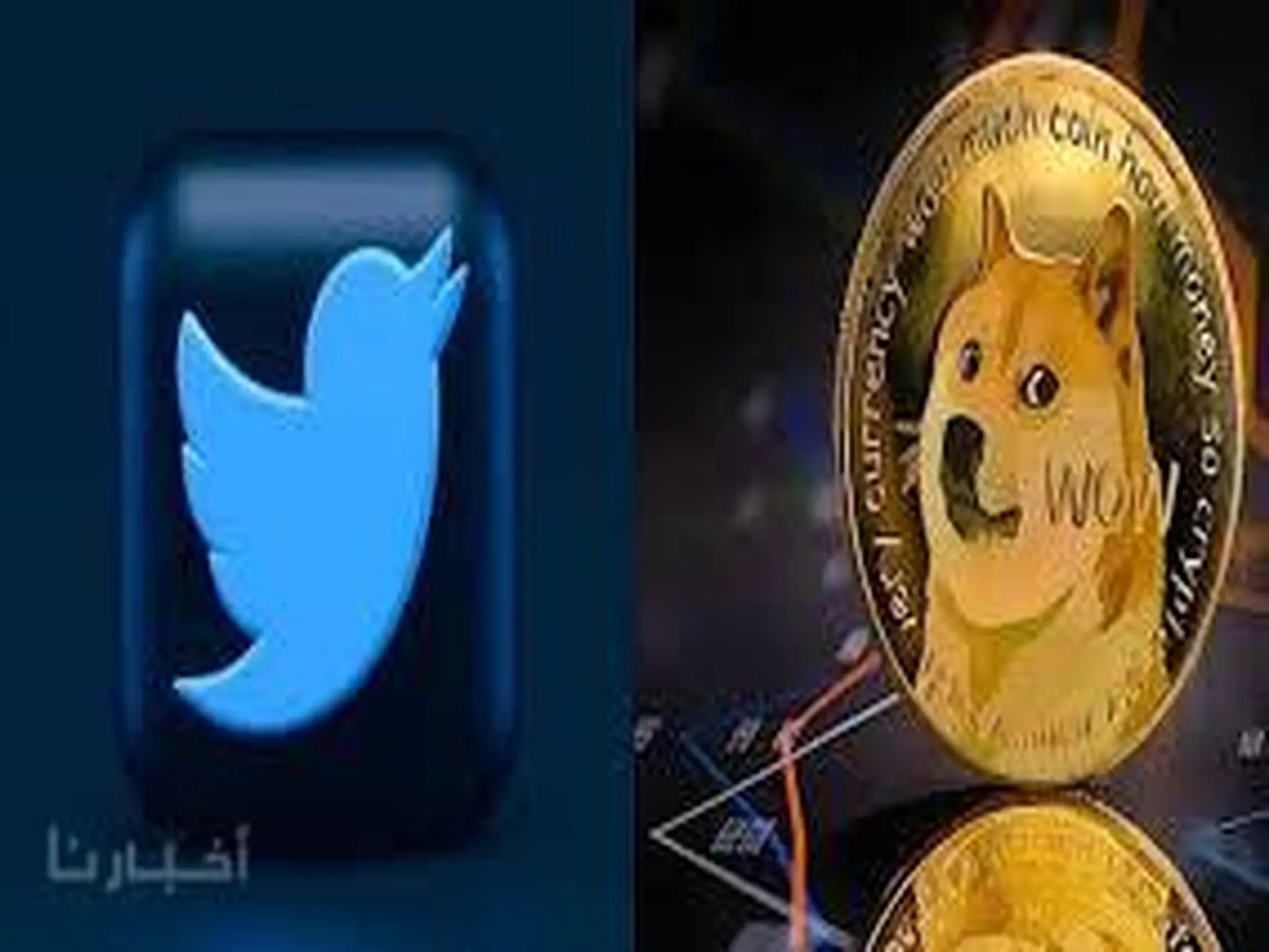 أرتفاع قيمة العملة الرقمية "دوج كوين" بعد تغيير شعار Twitter