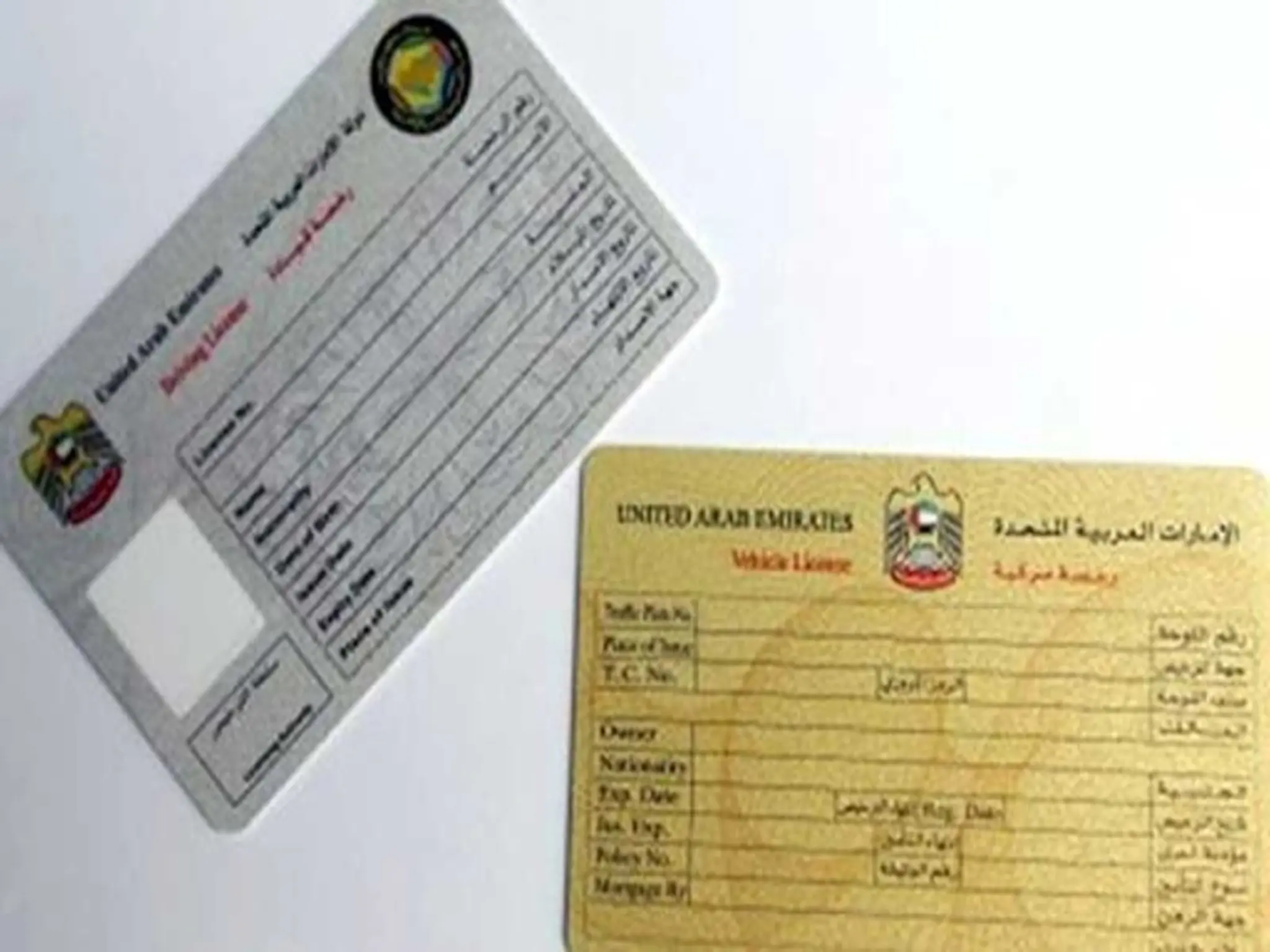 Obtaining a driving license in the Emirates without lessons through the Golden Opportunity service