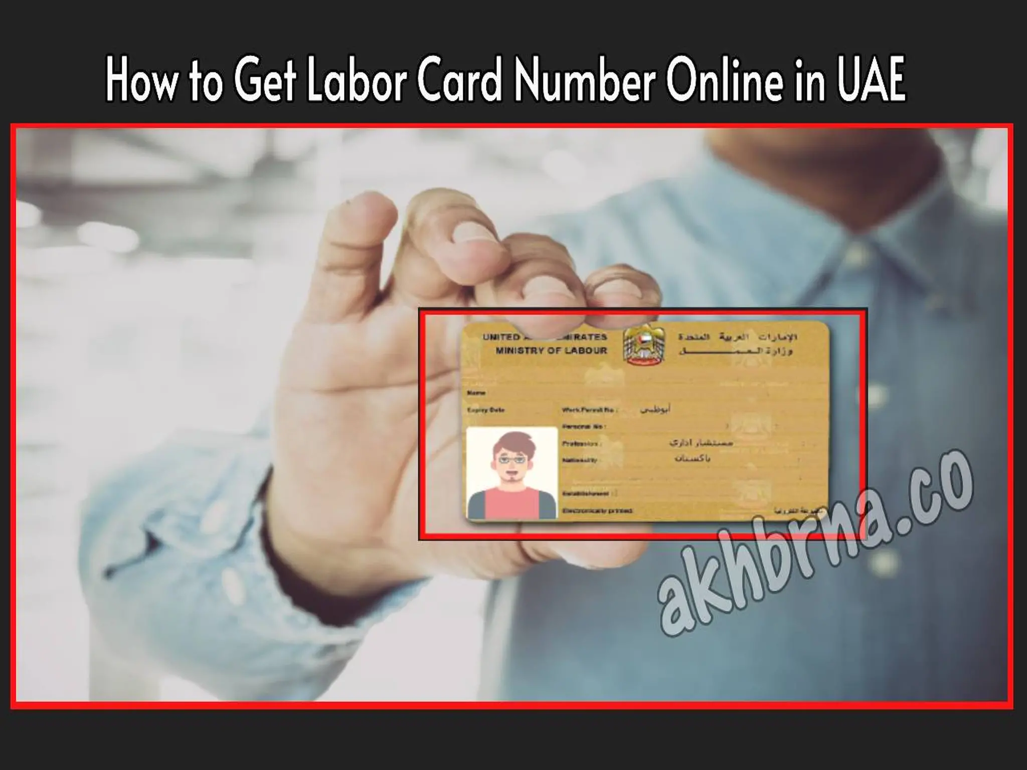 How to Get Labor Card Number Online in UAE? check and download