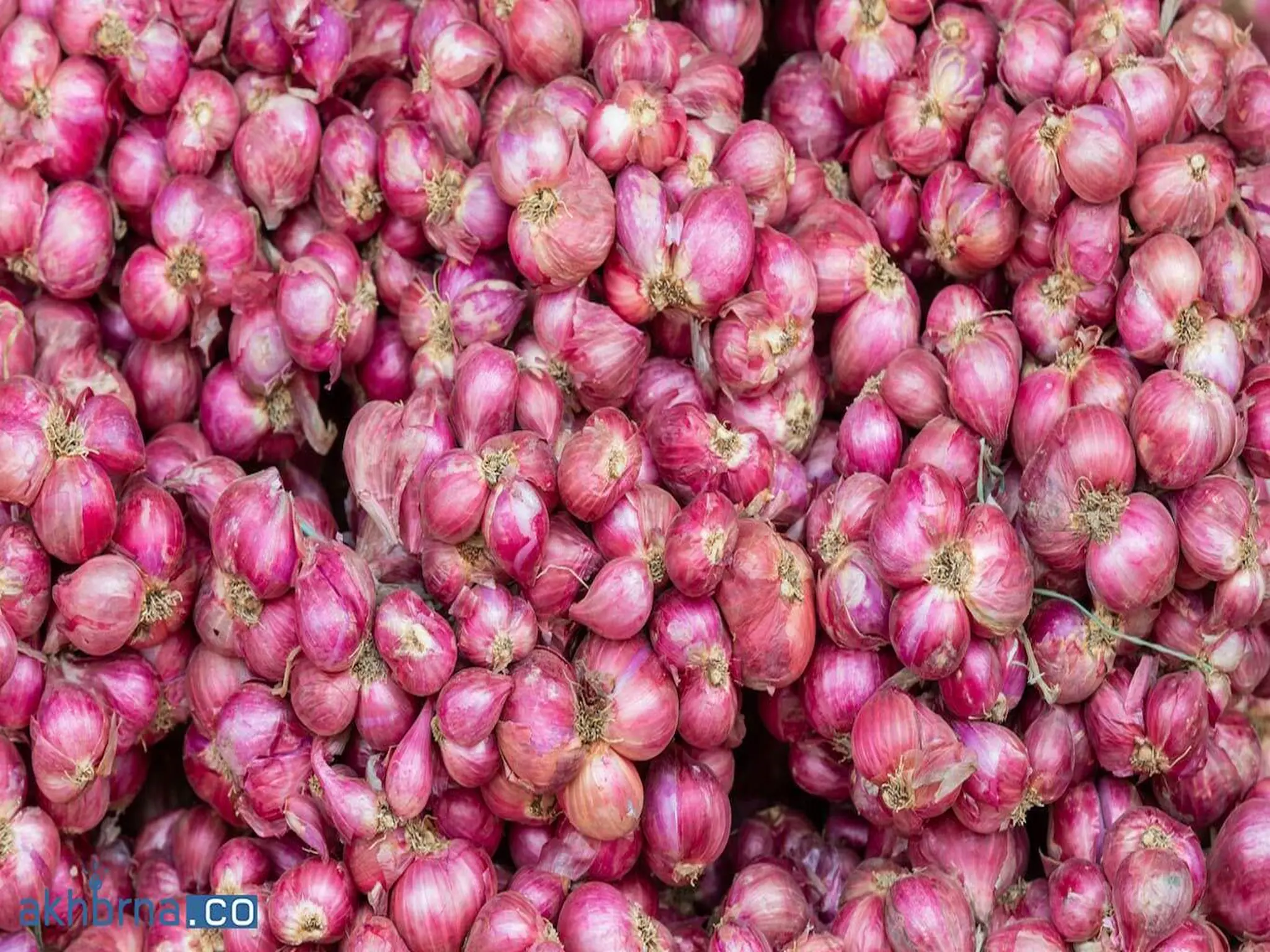 The Indian Government Implements Onion Export Ban Until March 2024