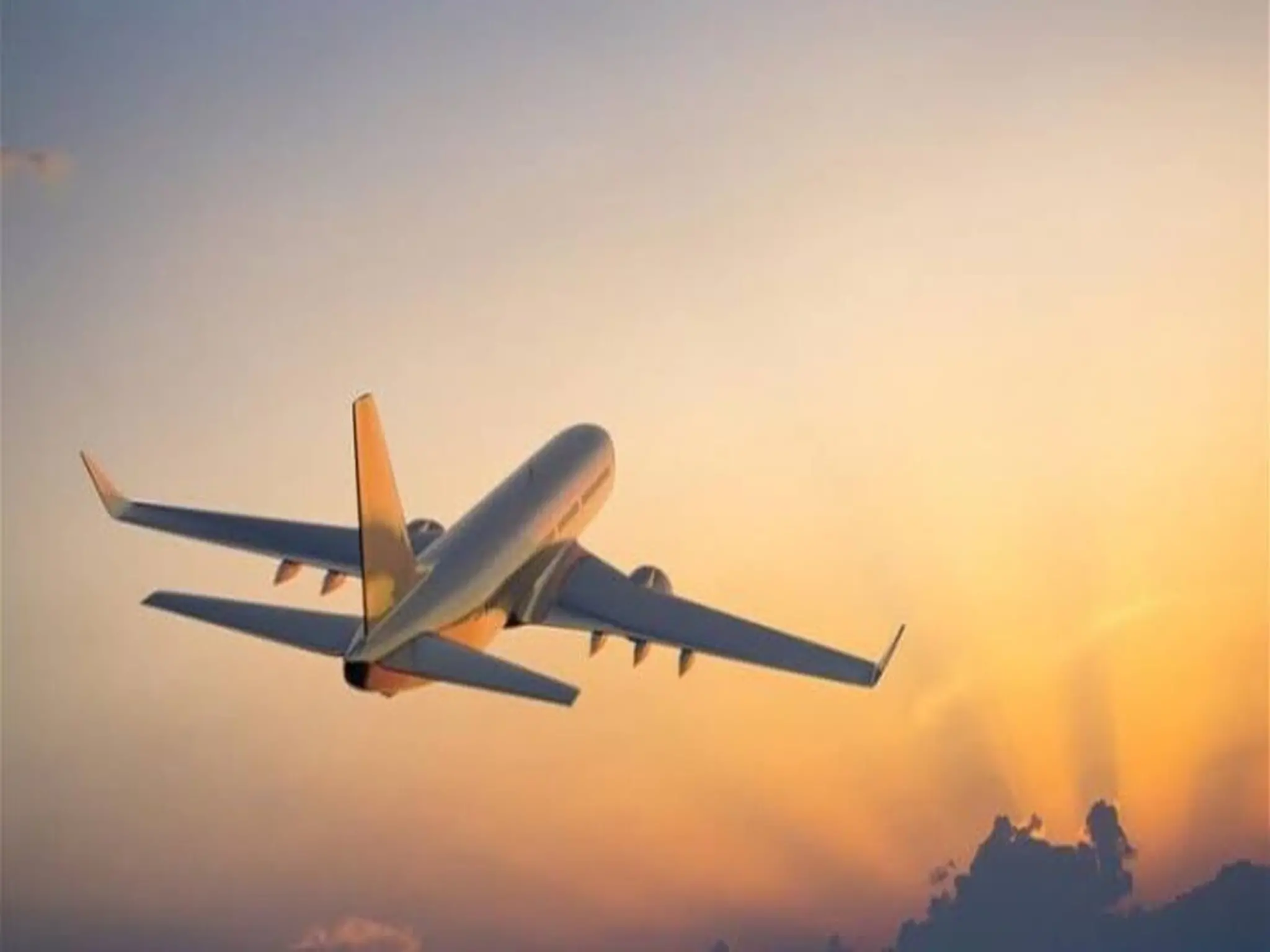The UAE announces initiatives to facilitate travel procedures through airports