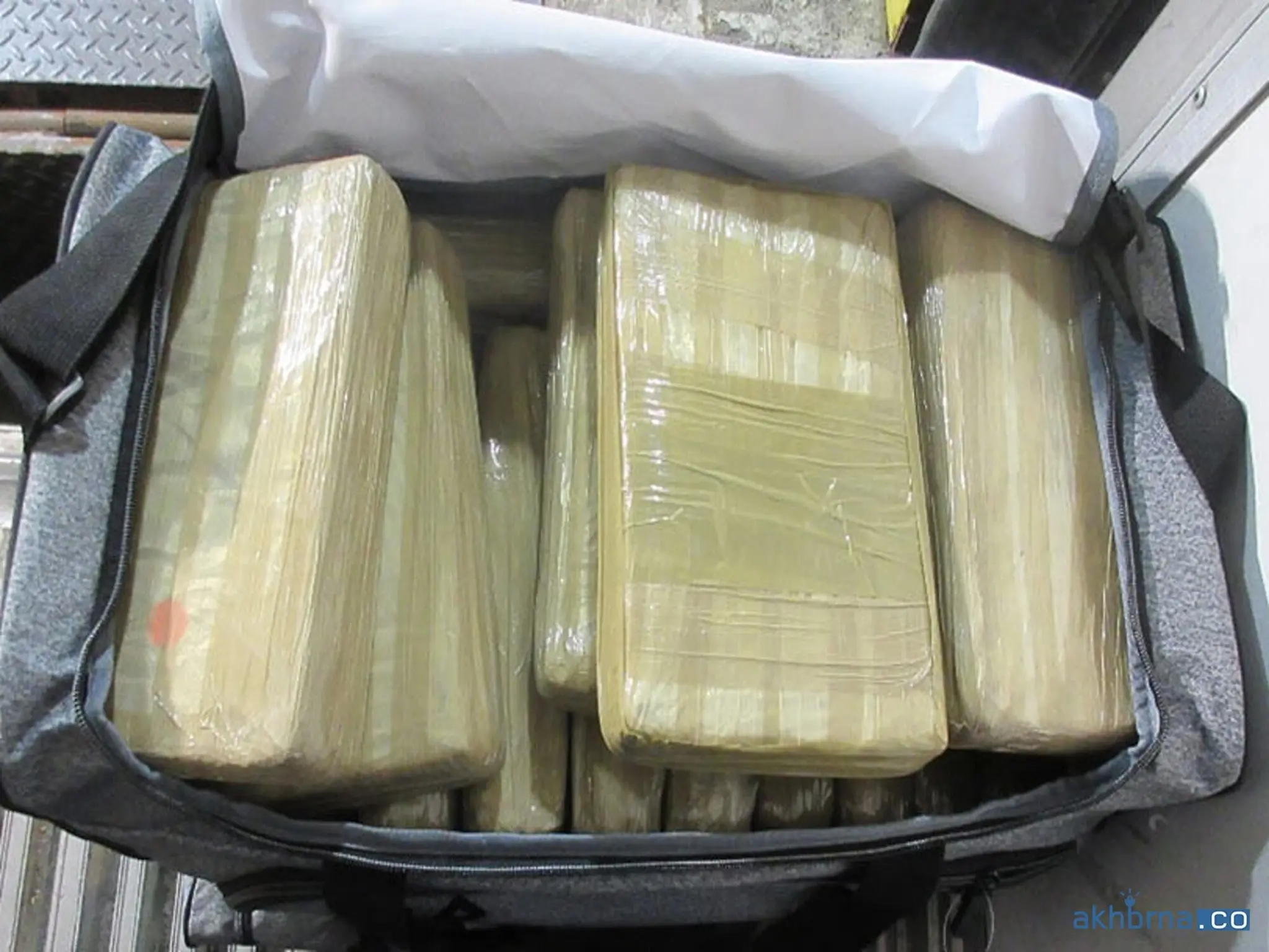 Canada: Truck Driver Charged with Possession of 233 kg of Cocaine in Brampton 