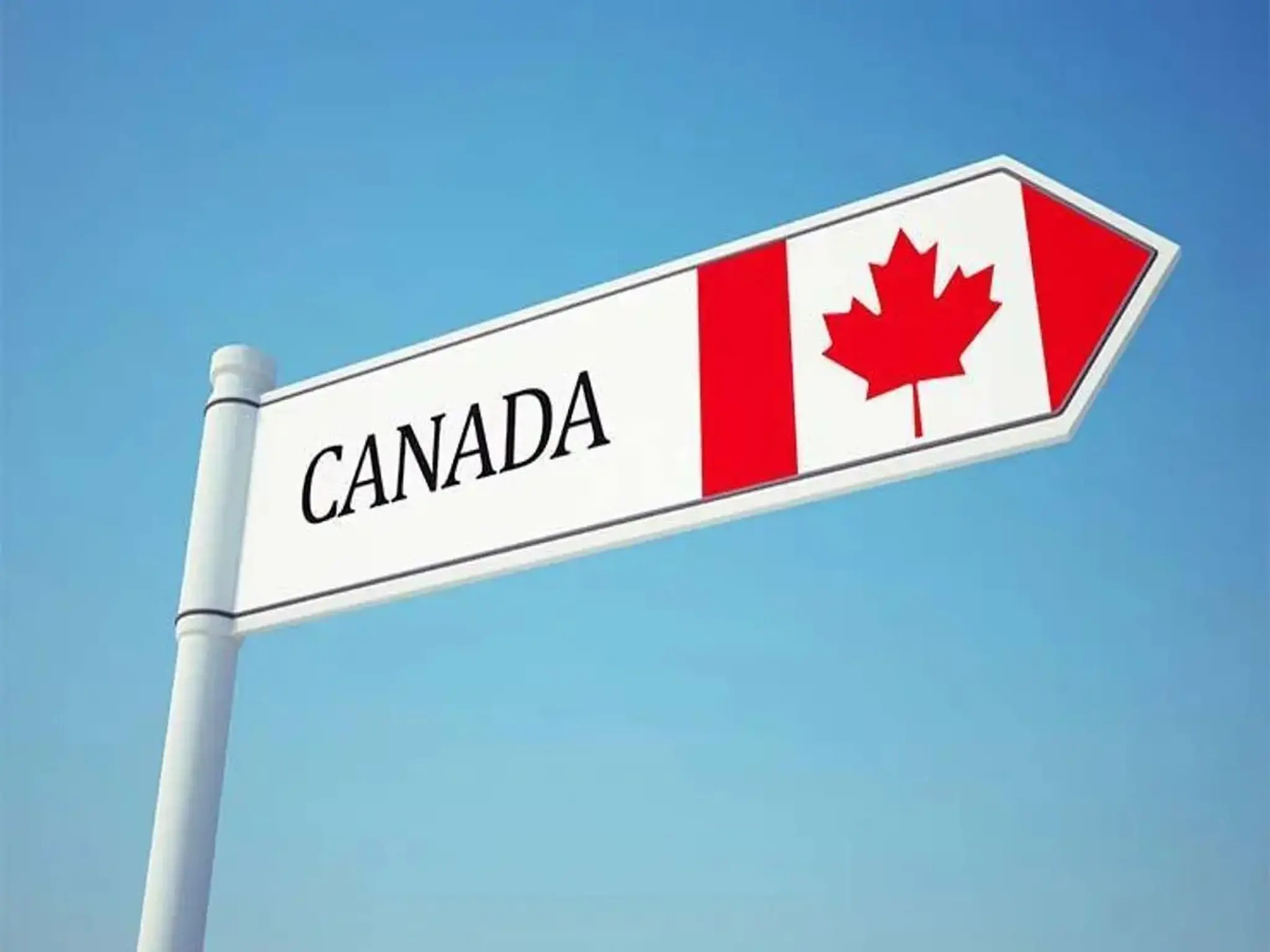Immigration procedures to Canada and Canadian immigration programs during the year 2024