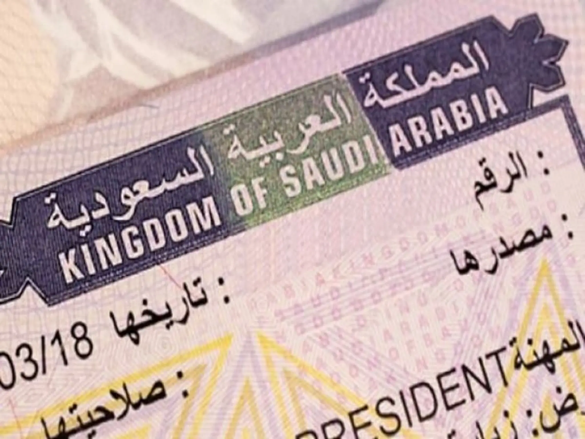 Saudi Arabia issues 5 new types of visas to attract expatriates