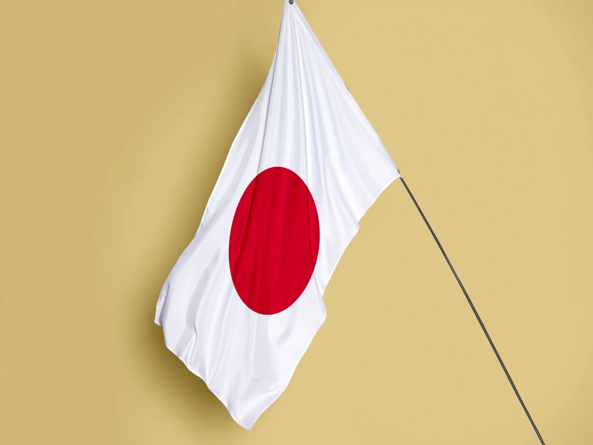 Japan determines the period for issuing a Japanese visa electronically