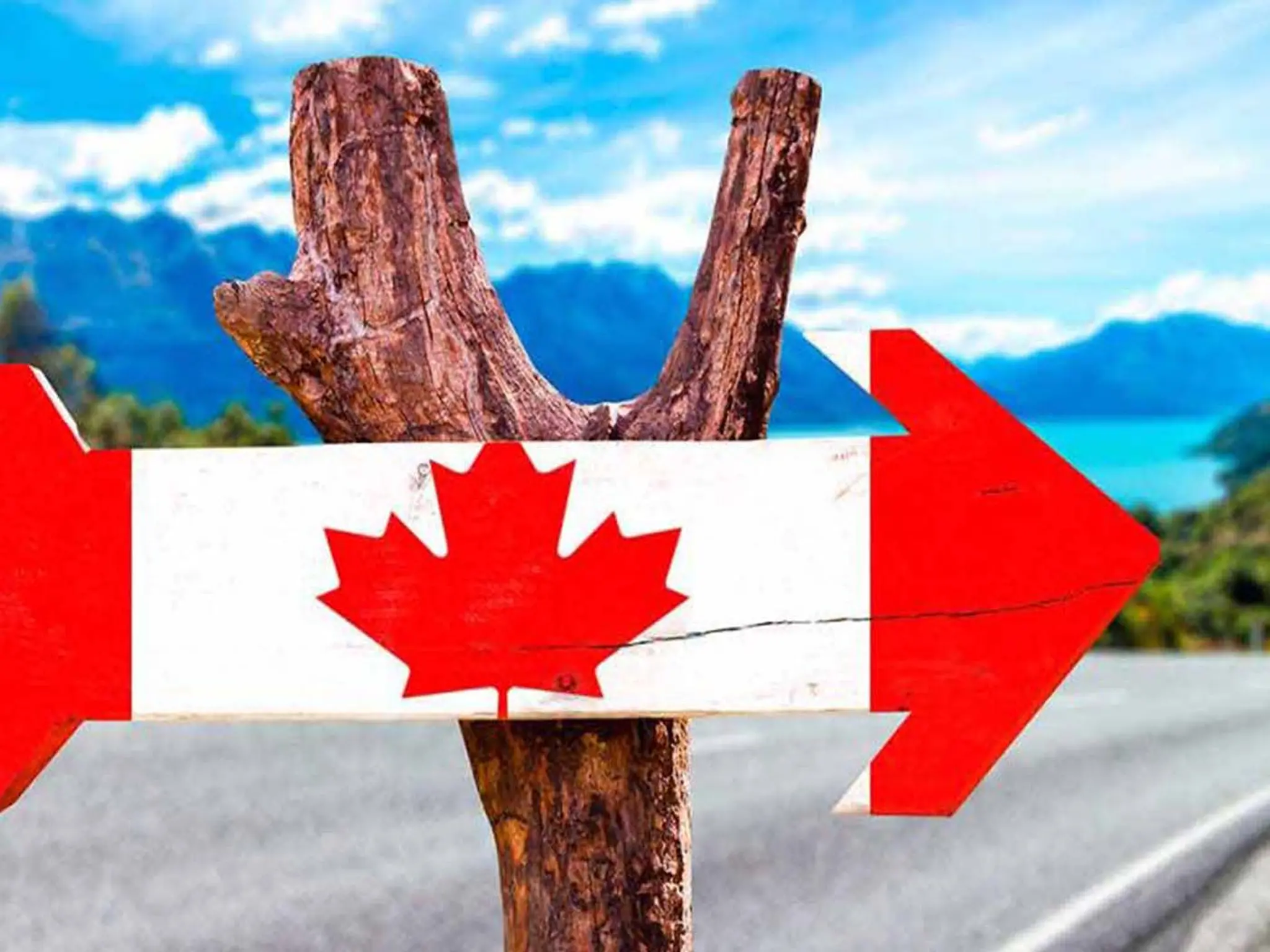 Canada announces new residency visas with exceptional facilities for these professions