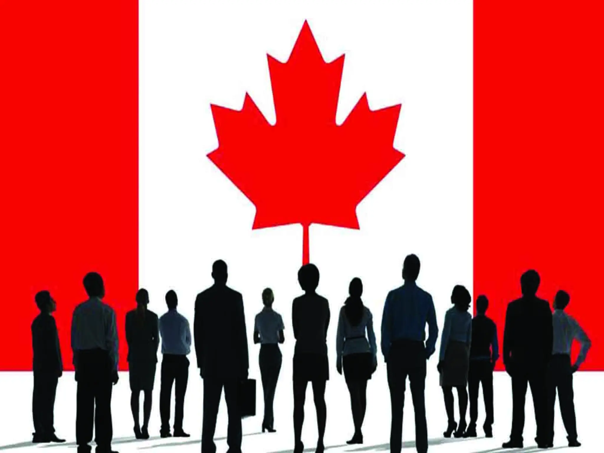 Canada announces 82 new vacancies for these professional specializations