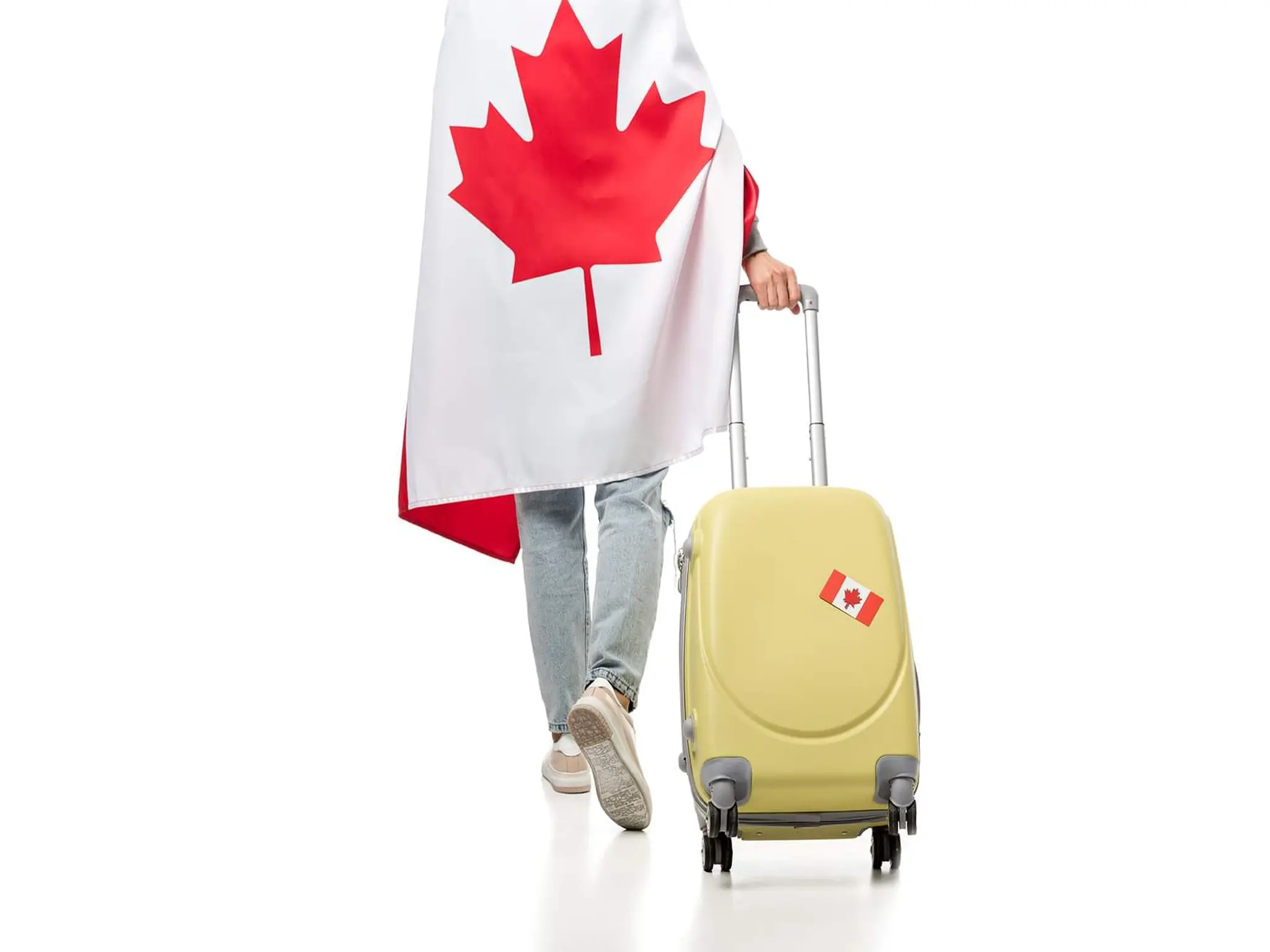 The most in-demand professions for those wishing to travel to Canada