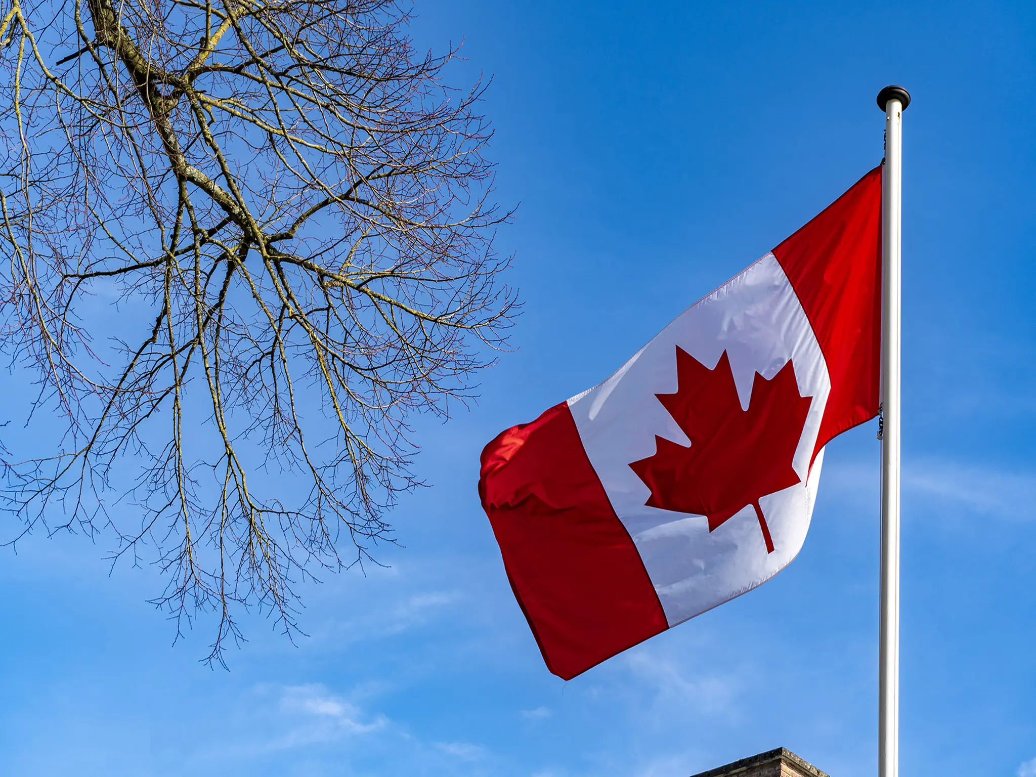 Steps to employ foreigners in Canada and issue a Canadian express work permit