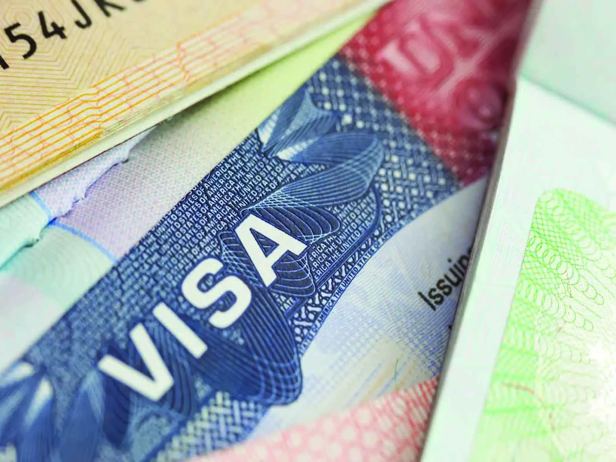 The UAE issues 5 categories for visa holders allowed to stay and work after their expiration