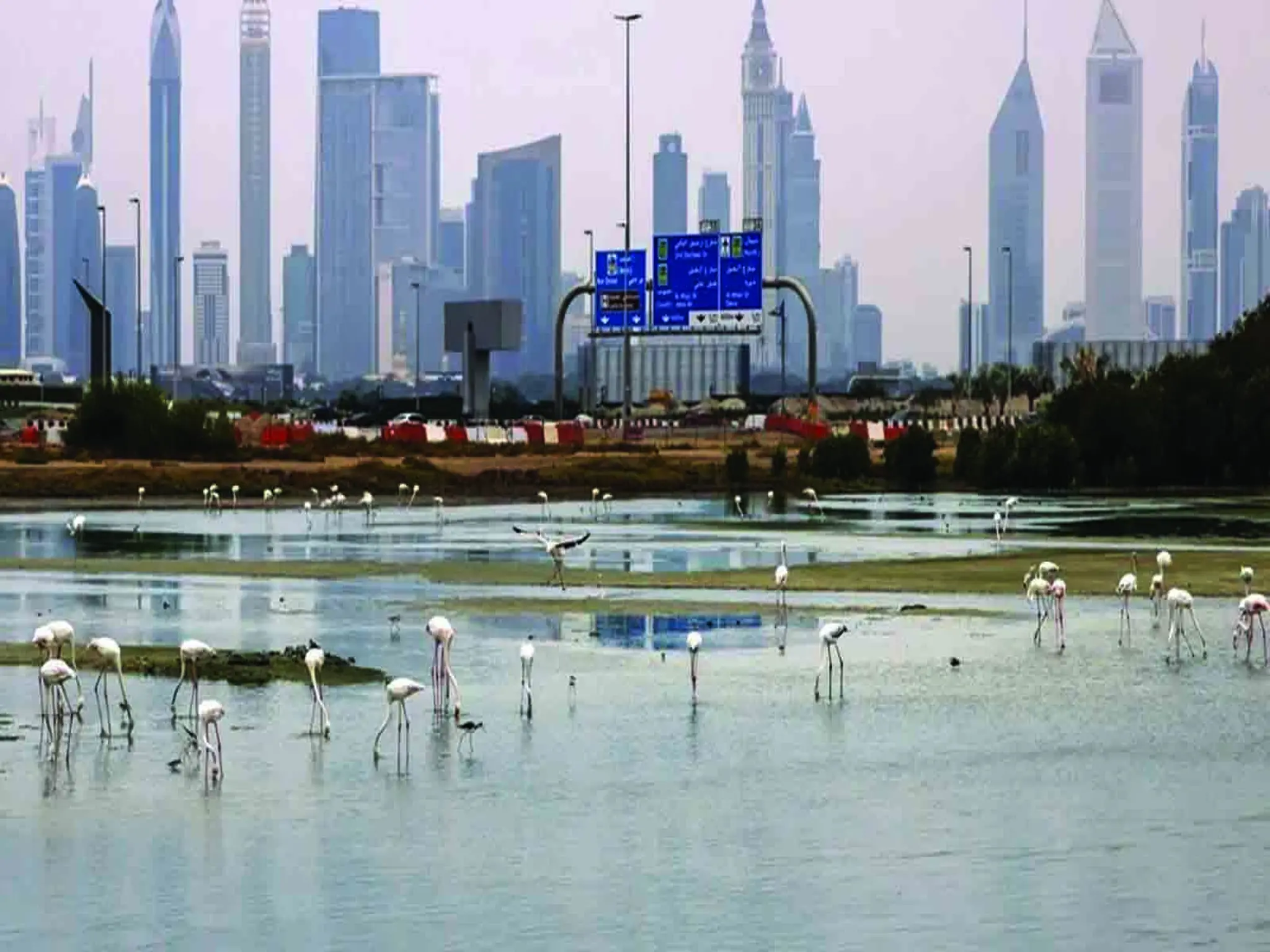 UAE Police issues safety alert to all residents due the bad weather