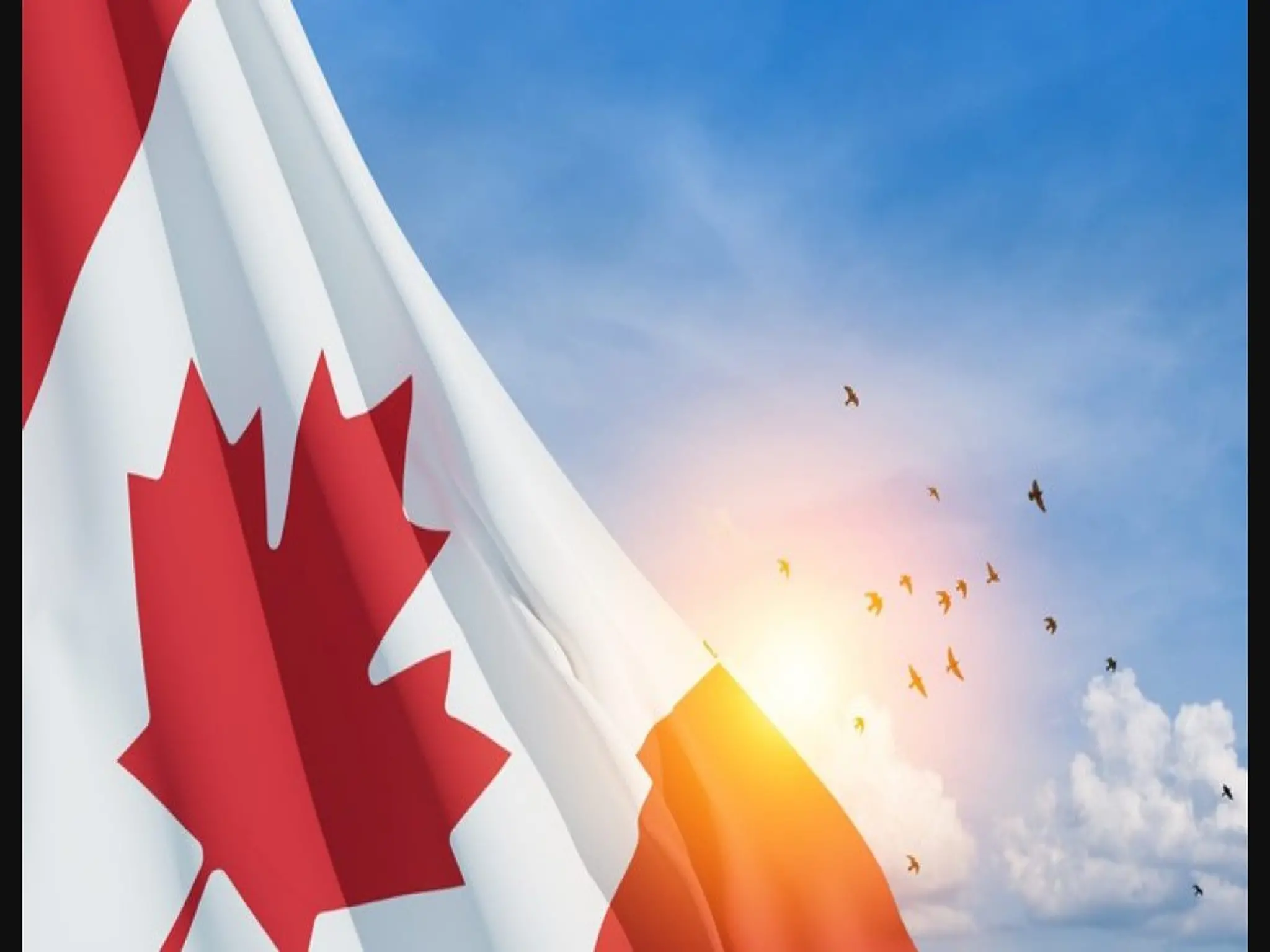 تحديد اجراءات توظيف الأجانب في كندا و اصدار تصريح العمل الكندي السريع