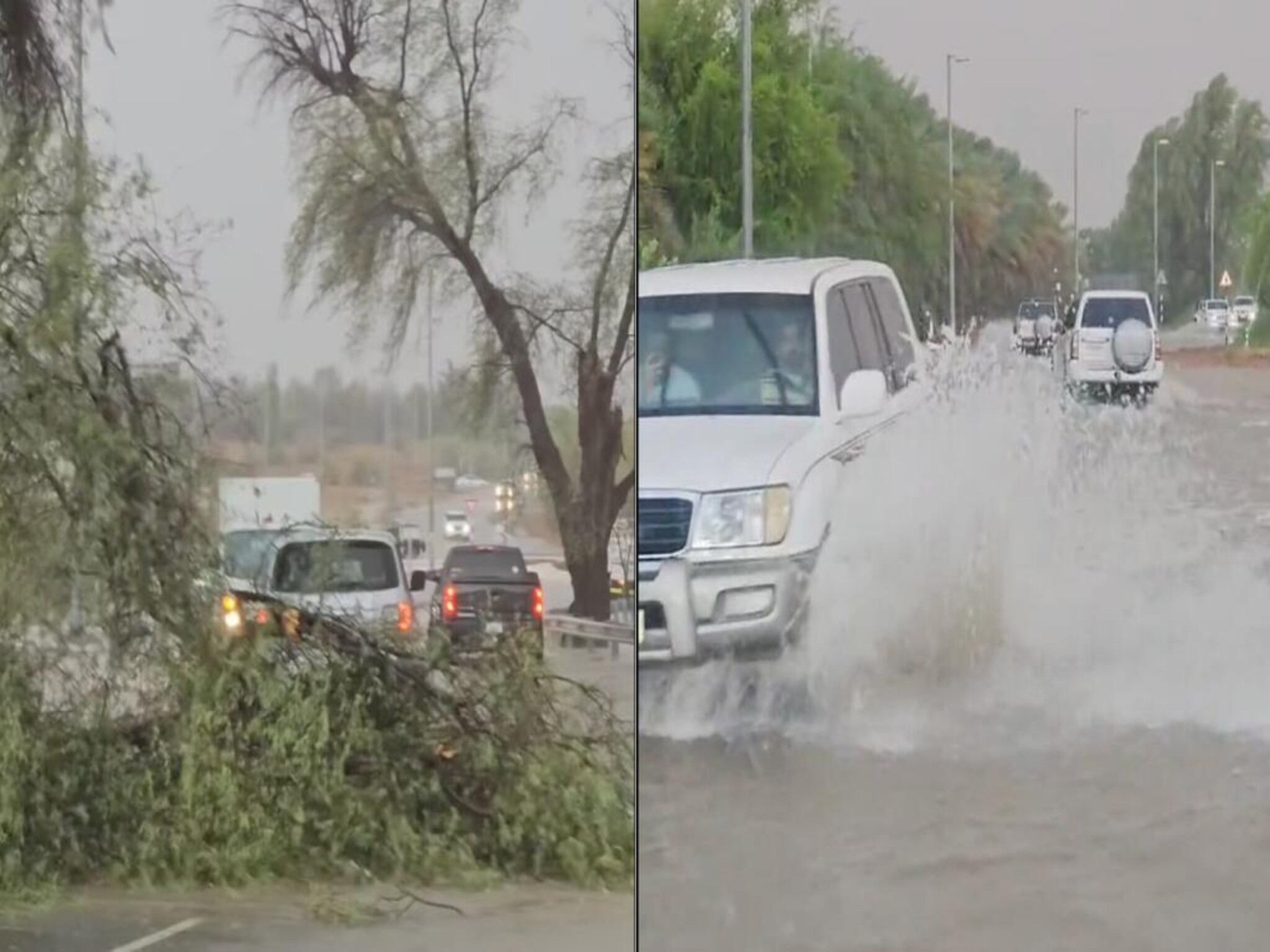 مركز العاصفة يحذر من سقوط أمطار غزيرة في الإمارات بعد عدة أيام