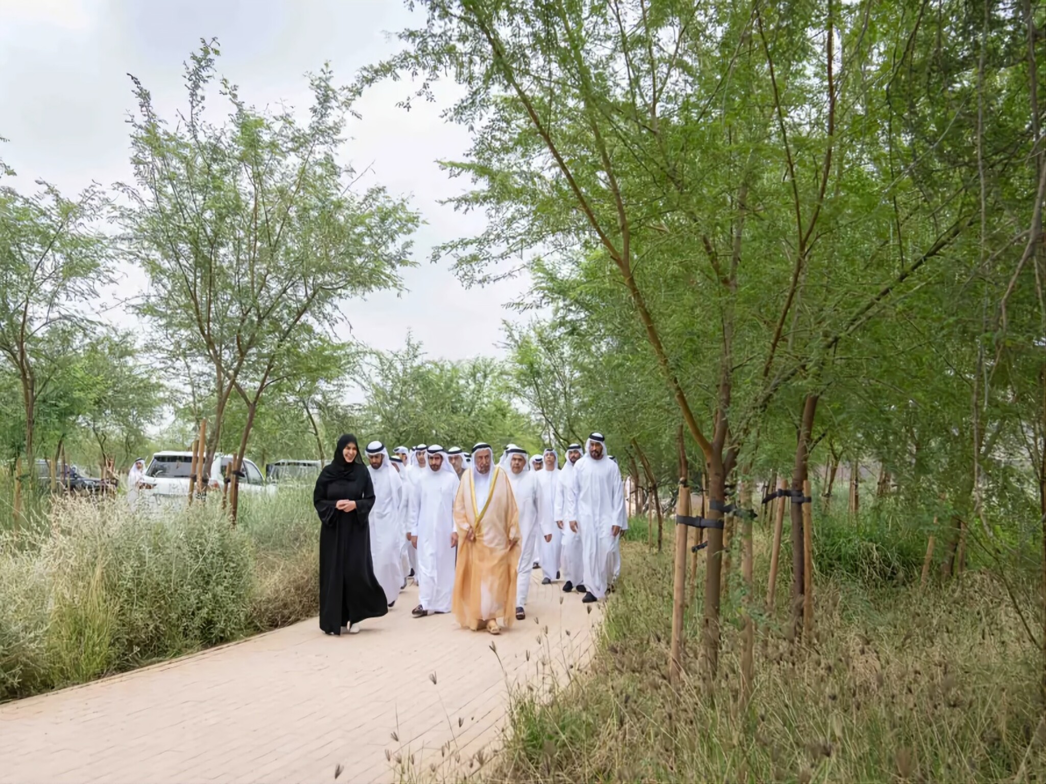 إطلاق مشروع الطهر العربي والحدائق المعلقة في مدينة كلباء