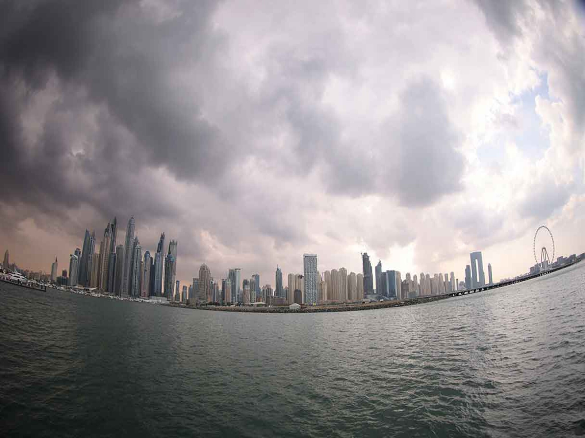 A strange environmental phenomenon in the Emirates worries residents