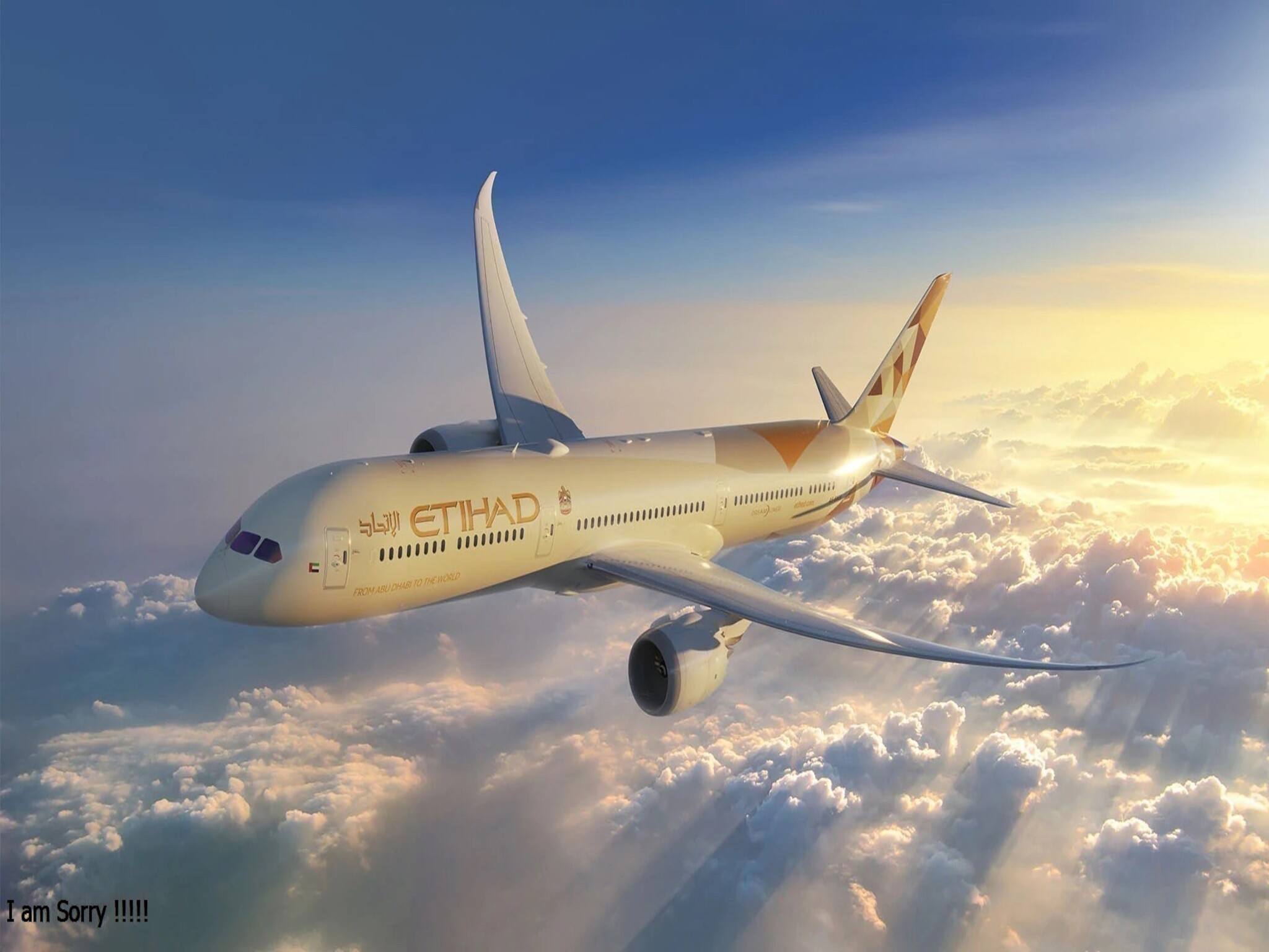 Etihad Airways resumes flights of its 380 A giant aircraft to Paris
