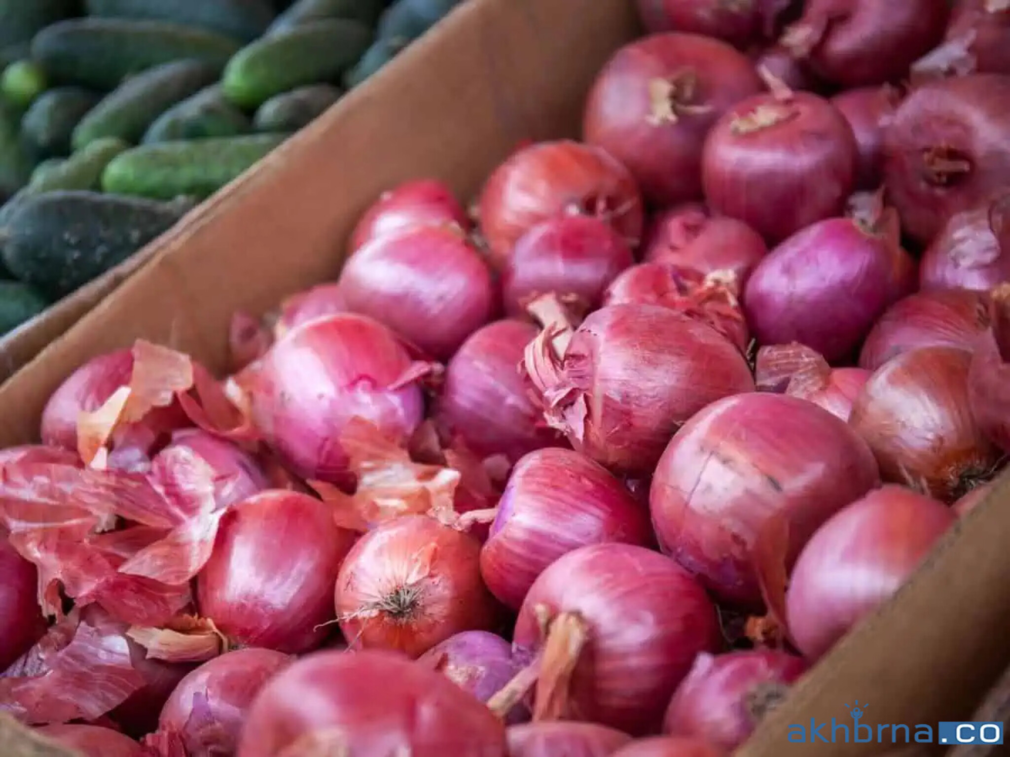 India Allows Extra 10,000 Tons of Onion Export to UAE Amidst Crisis
