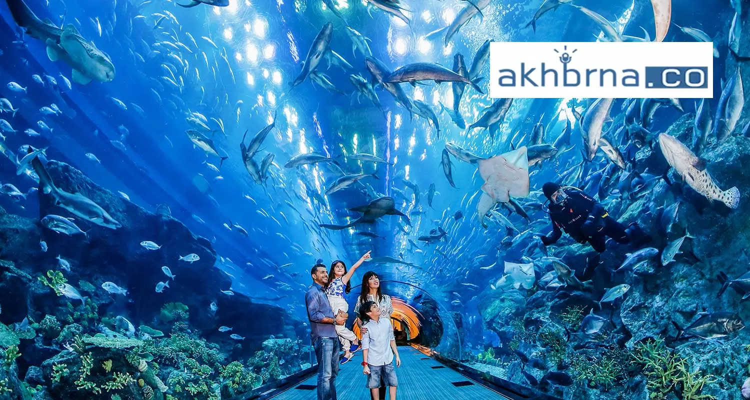 Experience the underwater dubia